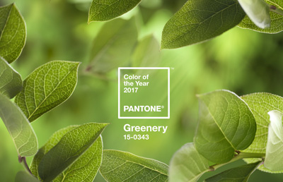 Pantone_COY2017_HeroShot2-RGB